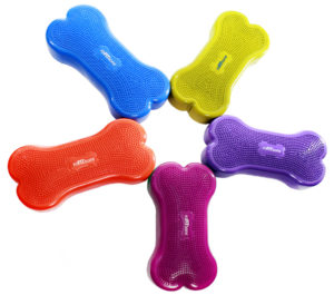 K9FITbone træningsudstyr til hunde - Fit For Core webshop