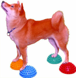 PAW PODS fra FITpaws 469,00 - Fit For Core webshop