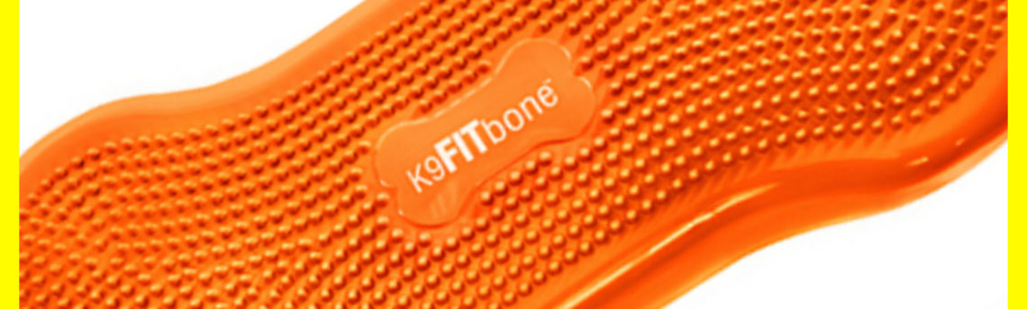 K9FITbone – Orange