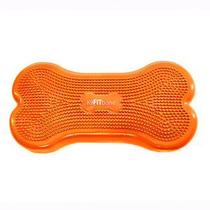 K9FITbone CanineGym ORANGE - Fit For Core webshop